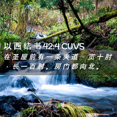 Picture 02 - 以 西 结 书 42:4 CUVS - 在 圣 屋 前 有 一 条 夹 道 ， 宽 十 - Bible Verse Picture