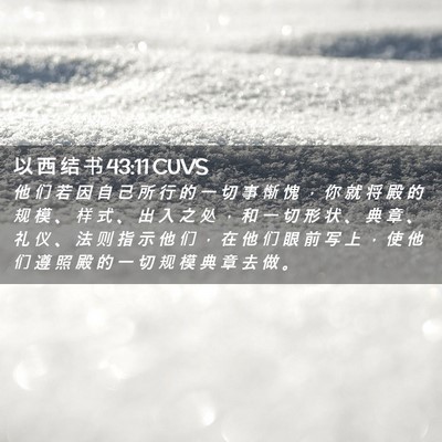 Picture 02 - 以 西 结 书 43:11 CUVS - 他 们 若 因 自 己 所 行 的 一 切 事 - Bible Verse Picture