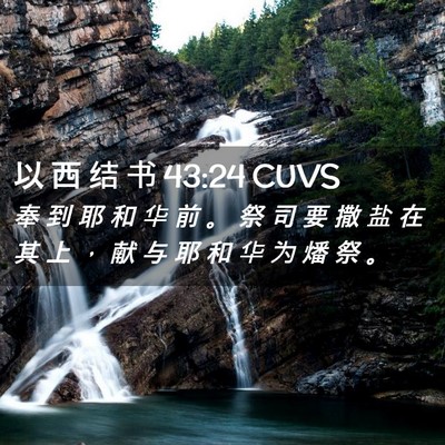 Picture 02 - 以 西 结 书 43:24 CUVS - 奉 到 耶 和 华 前 。 祭 司 要 撒 盐 - Bible Verse Picture