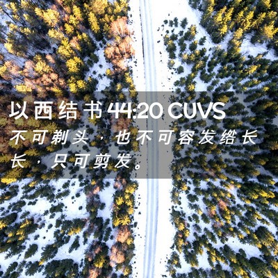 Picture 02 - 以 西 结 书 44:20 CUVS - 不 可 剃 头 ， 也 不 可 容 发 绺 长 - Bible Verse Picture