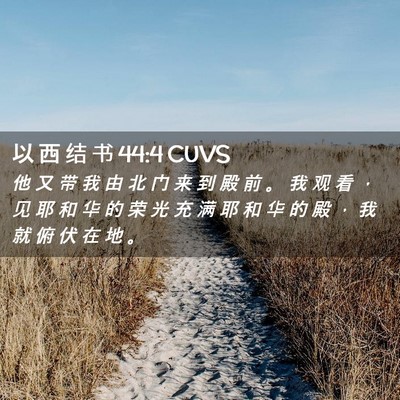 Picture 02 - 以 西 结 书 44:4 CUVS - 他 又 带 我 由 北 门 来 到 殿 前 。 - Bible Verse Picture
