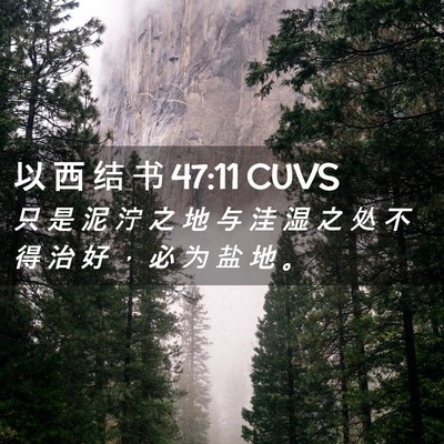 Picture 02 - 以 西 结 书 47:11 CUVS - 只 是 泥 泞 之 地 与 洼 湿 之 处 不 - Bible Verse Picture