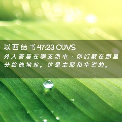 Picture 02 - 以 西 结 书 47:23 CUVS - 外 人 寄 居 在 哪 支 派 中 ， 你 们 - Bible Verse Picture