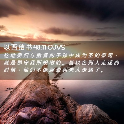 Picture 02 - 以 西 结 书 48:11 CUVS - 这 地 要 归 与 撒 督 的 子 孙 中 成 - Bible Verse Picture