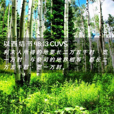 Picture 02 - 以 西 结 书 48:13 CUVS - 利 未 人 所 得 的 地 要 长 二 万 五 - Bible Verse Picture