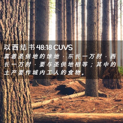 Picture 02 - 以 西 结 书 48:18 CUVS - 靠 着 圣 供 地 的 馀 地 ， 东 长 一 - Bible Verse Picture