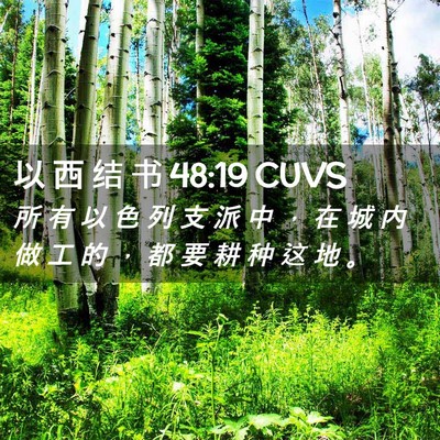 Picture 02 - 以 西 结 书 48:19 CUVS - 所 有 以 色 列 支 派 中 ， 在 城 内 - Bible Verse Picture