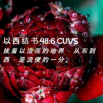 Picture 02 - 以 西 结 书 48:6 CUVS - 挨 着 以 法 莲 的 地 界 ， 从 东 到 - Bible Verse Picture
