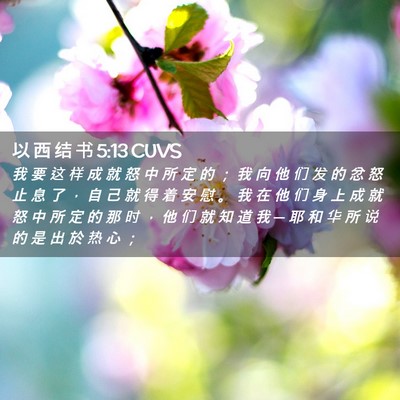 Picture 02 - 以 西 结 书 5:13 CUVS - 我 要 这 样 成 就 怒 中 所 定 的 ； - Bible Verse Picture