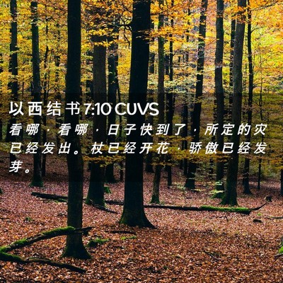 Picture 02 - 以 西 结 书 7:10 CUVS - 看 哪 ， 看 哪 ， 日 子 快 到 了 ， - Bible Verse Picture