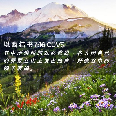 Picture 02 - 以 西 结 书 7:16 CUVS - 其 中 所 逃 脱 的 就 必 逃 脱 ， 各 - Bible Verse Picture