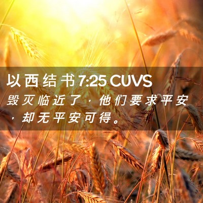 Picture 02 - 以 西 结 书 7:25 CUVS - 毁 灭 临 近 了 ， 他 们 要 求 平 安 - Bible Verse Picture