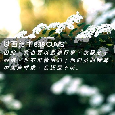 Picture 02 - 以 西 结 书 8:18 CUVS - 因 此 ， 我 也 要 以 忿 怒 行 事 ， - Bible Verse Picture