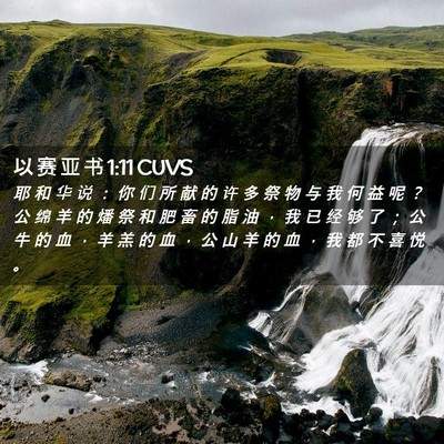 Picture 02 - 以 赛 亚 书 1:11 CUVS - 耶 和 华 说 ： 你 们 所 献 的 许 多 - Bible Verse Picture