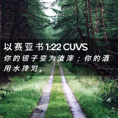 Picture 02 - 以 赛 亚 书 1:22 CUVS - 你 的 银 子 变 为 渣 滓 ； 你 的 酒 - Bible Verse Picture