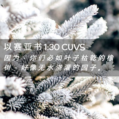 Picture 02 - 以 赛 亚 书 1:30 CUVS - 因 为 ， 你 们 必 如 叶 子 枯 乾 的 - Bible Verse Picture
