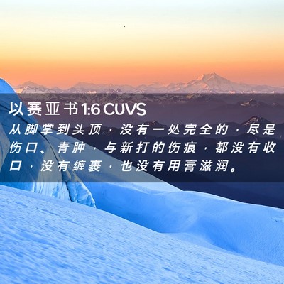 Picture 02 - 以 赛 亚 书 1:6 CUVS - 从 脚 掌 到 头 顶 ， 没 有 一 处 完 - Bible Verse Picture
