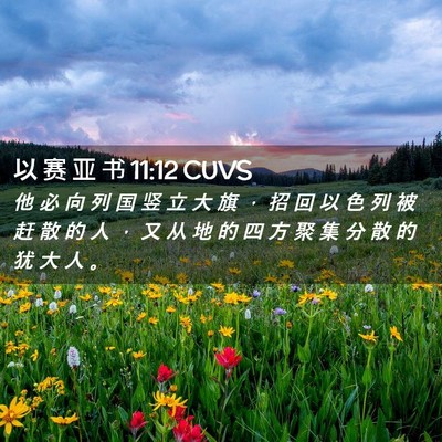 Picture 02 - 以 赛 亚 书 11:12 CUVS - 他 必 向 列 国 竖 立 大 旗 ， 招 回 - Bible Verse Picture