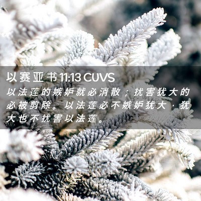 Picture 02 - 以 赛 亚 书 11:13 CUVS - 以 法 莲 的 嫉 妒 就 必 消 散 ； 扰 - Bible Verse Picture