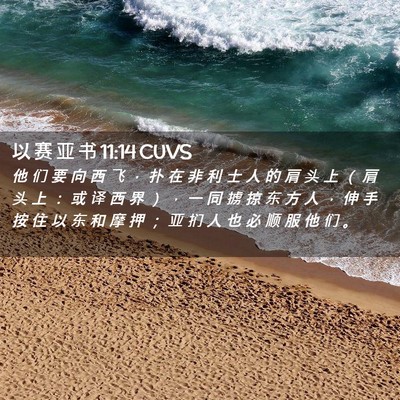 Picture 02 - 以 赛 亚 书 11:14 CUVS - 他 们 要 向 西 飞 ， 扑 在 非 利 士 - Bible Verse Picture