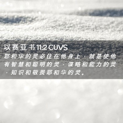 Picture 02 - 以 赛 亚 书 11:2 CUVS - 耶 和 华 的 灵 必 住 在 他 身 上 ， - Bible Verse Picture