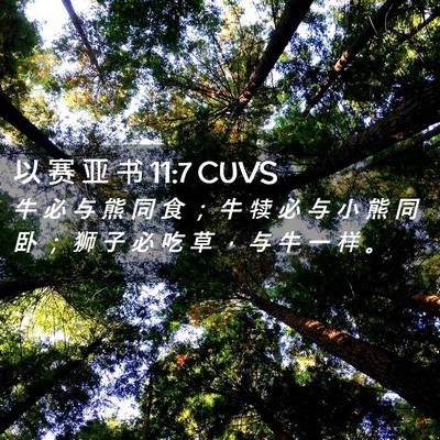 Picture 02 - 以 赛 亚 书 11:7 CUVS - 牛 必 与 熊 同 食 ； 牛 犊 必 与 小 - Bible Verse Picture