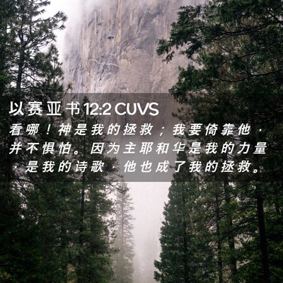 Picture 02 - 以 赛 亚 书 12:2 CUVS - 看 哪 ！ 神 是 我 的 拯 救 ； 我 要 - Bible Verse Picture
