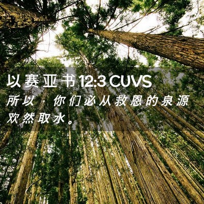 Picture 02 - 以 赛 亚 书 12:3 CUVS - 所 以 ， 你 们 必 从 救 恩 的 泉 源 - Bible Verse Picture