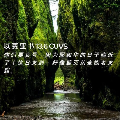 Picture 02 - 以 赛 亚 书 13:6 CUVS - 你 们 要 哀 号 ， 因 为 耶 和 华 的 - Bible Verse Picture