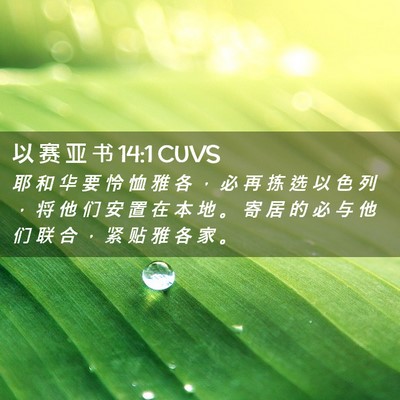 Picture 02 - 以 赛 亚 书 14:1 CUVS - 耶 和 华 要 怜 恤 雅 各 ， 必 再 拣 - Bible Verse Picture