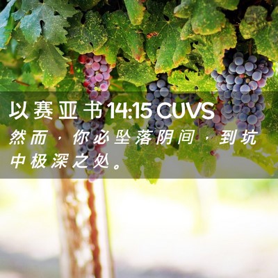 Picture 02 - 以 赛 亚 书 14:15 CUVS - 然 而 ， 你 必 坠 落 阴 间 ， 到 坑 - Bible Verse Picture