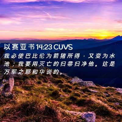 Picture 02 - 以 赛 亚 书 14:23 CUVS - 我 必 使 巴 比 伦 为 箭 猪 所 得 ， - Bible Verse Picture