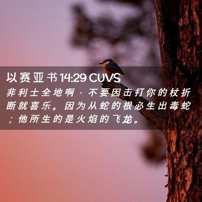 Picture 02 - 以 赛 亚 书 14:29 CUVS - 非 利 士 全 地 啊 ， 不 要 因 击 打 - Bible Verse Picture