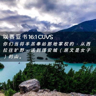 Picture 02 - 以 赛 亚 书 16:1 CUVS - 你 们 当 将 羊 羔 奉 给 那 地 掌 权 - Bible Verse Picture