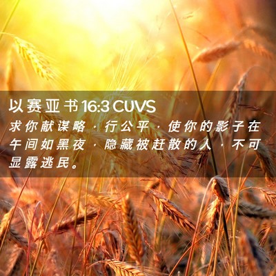 Picture 02 - 以 赛 亚 书 16:3 CUVS - 求 你 献 谋 略 ， 行 公 平 ， 使 你 - Bible Verse Picture