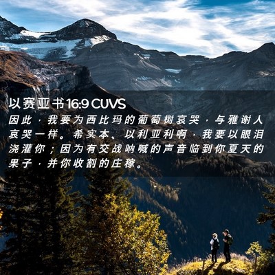 Picture 02 - 以 赛 亚 书 16:9 CUVS - 因 此 ， 我 要 为 西 比 玛 的 葡 萄 - Bible Verse Picture