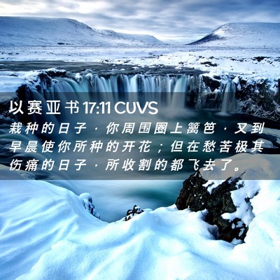 Picture 02 - 以 赛 亚 书 17:11 CUVS - 栽 种 的 日 子 ， 你 周 围 圈 上 篱 - Bible Verse Picture