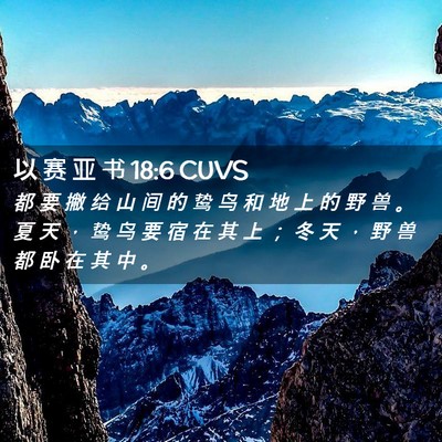 Picture 02 - 以 赛 亚 书 18:6 CUVS - 都 要 撇 给 山 间 的 鸷 鸟 和 地 上 - Bible Verse Picture