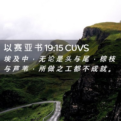 Picture 02 - 以 赛 亚 书 19:15 CUVS - 埃 及 中 ， 无 论 是 头 与 尾 ， 棕 - Bible Verse Picture
