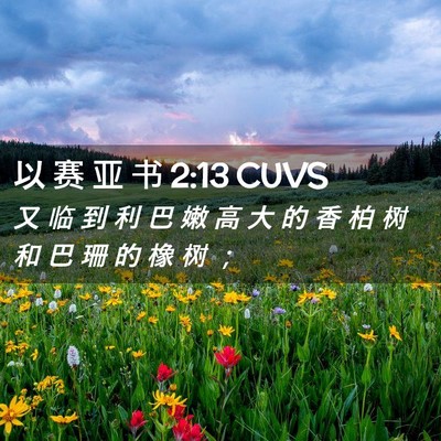 Picture 02 - 以 赛 亚 书 2:13 CUVS - 又 临 到 利 巴 嫩 高 大 的 香 柏 树 - Bible Verse Picture