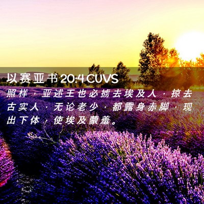 Picture 02 - 以 赛 亚 书 20:4 CUVS - 照 样 ， 亚 述 王 也 必 掳 去 埃 及 - Bible Verse Picture
