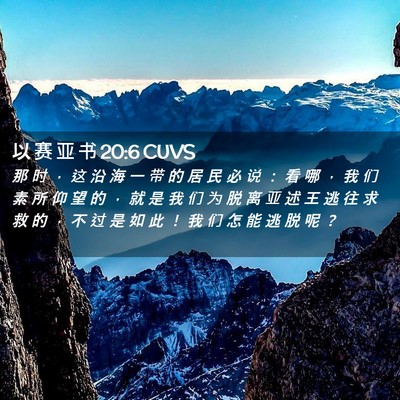 Picture 02 - 以 赛 亚 书 20:6 CUVS - 那 时 ， 这 沿 海 一 带 的 居 民 必 - Bible Verse Picture