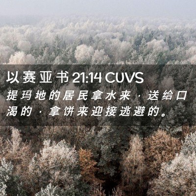 Picture 02 - 以 赛 亚 书 21:14 CUVS - 提 玛 地 的 居 民 拿 水 来 ， 送 给 - Bible Verse Picture