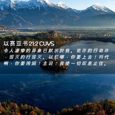 Picture 02 - 以 赛 亚 书 21:2 CUVS - 令 人 凄 惨 的 异 象 已 默 示 於 我 - Bible Verse Picture