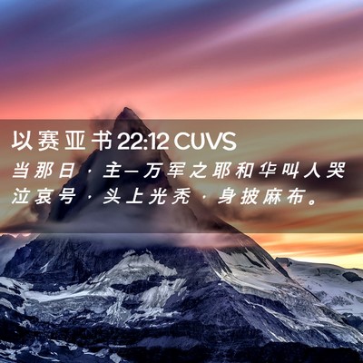 Picture 02 - 以 赛 亚 书 22:12 CUVS - 当 那 日 ， 主 ─ 万 军 之 耶 和 华 - Bible Verse Picture