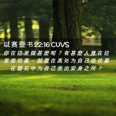 Picture 02 - 以 赛 亚 书 22:16 CUVS - 你 在 这 里 做 甚 麽 呢 ？ 有 甚 麽 - Bible Verse Picture