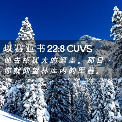 Picture 02 - 以 赛 亚 书 22:8 CUVS - 他 去 掉 犹 大 的 遮 盖 。 那 日 ， - Bible Verse Picture