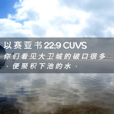 Picture 02 - 以 赛 亚 书 22:9 CUVS - 你 们 看 见 大 卫 城 的 破 口 很 多 - Bible Verse Picture