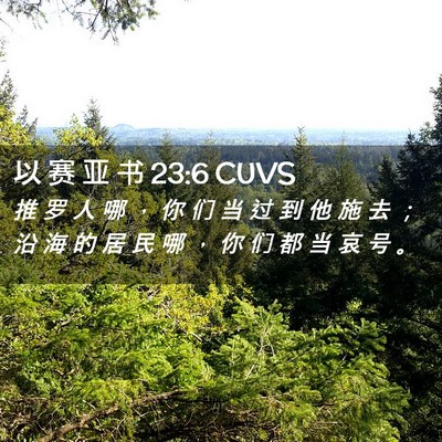 Picture 02 - 以 赛 亚 书 23:6 CUVS - 推 罗 人 哪 ， 你 们 当 过 到 他 施 - Bible Verse Picture