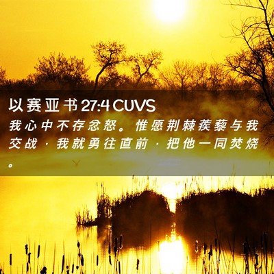 Picture 02 - 以 赛 亚 书 27:4 CUVS - 我 心 中 不 存 忿 怒 。 惟 愿 荆 棘 - Bible Verse Picture